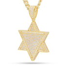 14K Gold / M Star of Unity Necklace NKX14304-GOLD
